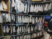 IMG-20220829-WA0002.webp
