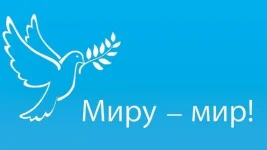 17120546.webp