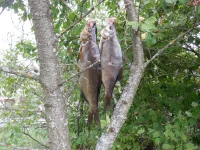PIC-2022-08-28_12-36-15.webp