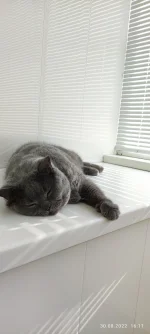 IMG_20220830_161123.webp