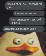 17124268.webp