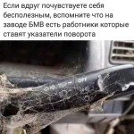 podborka-smeshnyh-kartinok-i-krasivyh-fotografij-6.webp