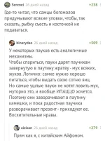 5488156_original.webp