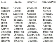 1492595340167027945.webp