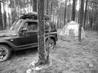 IMG-20220901-WA0018.webp