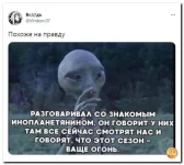 15 (3).webp
