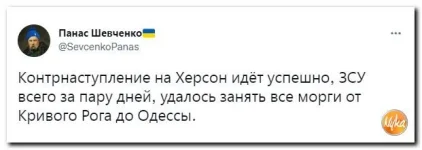 2 (17).webp