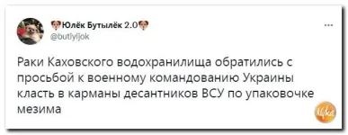 10 (6).webp