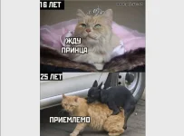 IMG_20220905_213025.webp