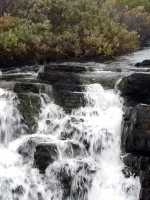 IMG-20220908-WA0028.webp IMG-20220908-WA0028.webp