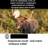 17141348.webp