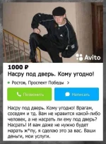 17153687.webp