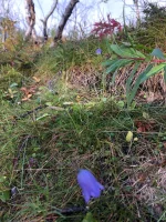 IMG-20220908-WA0106.webp