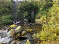 IMG-20220908-WA0104.webp