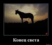 7620037_original.webp