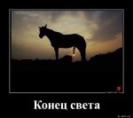 7620037_original.jpg