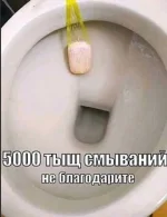 9 (13).webp