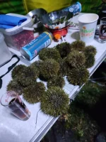 IMG-20220909-WA0014.webp IMG-20220909-WA0014.webp