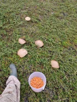 IMG-20220909-WA0009.webp IMG-20220909-WA0009.webp