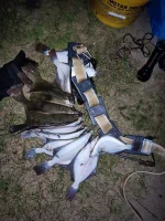 IMG-20220909-WA0004.webp IMG-20220909-WA0004.webp