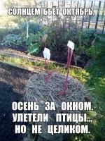 17161174.webp