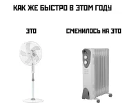 17161182.webp