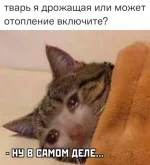 17160344.jpg