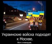 17161905.webp