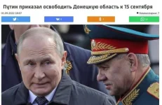 17163417.webp
