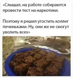 17167444.webp