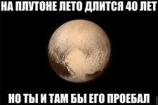17168261.webp