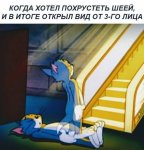 17176005.jpg