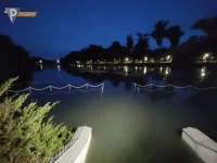 1663197213668.png