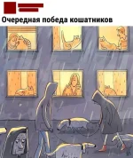 17179148.webp