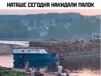 17186620.webp