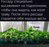 17186652.webp