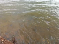 20220914_102401.webp