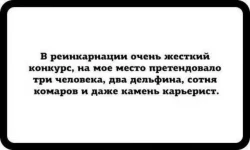 17185839.webp