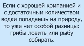17178171.webp
