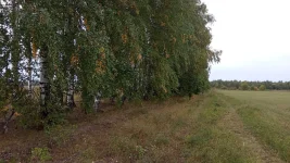 IMG_20220918_150324.jpg