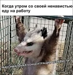 17194409.webp
