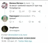 17197920.webp