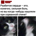 17198870.webp