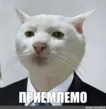 999eea1c7556f47c345ae820e610f97b.webp