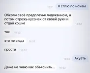 17202553.webp