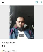 17203411.webp