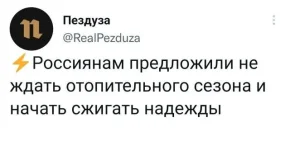 17203556.webp