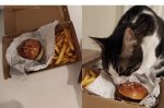 17203670.jpg