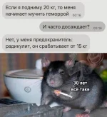 17203915.webp