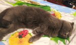 IMG_20220923_202549.jpg